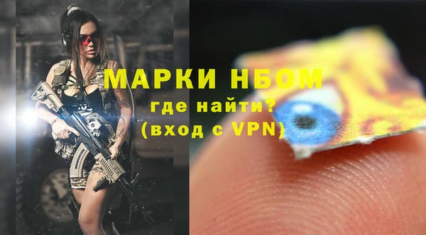 apvp Кукмор