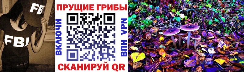 дарнет шоп  Калининград  Псилоцибиновые грибы Psilocybine cubensis 