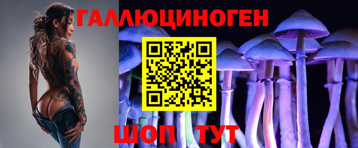 Псилоцибиновые грибы Magic Shrooms Калининград