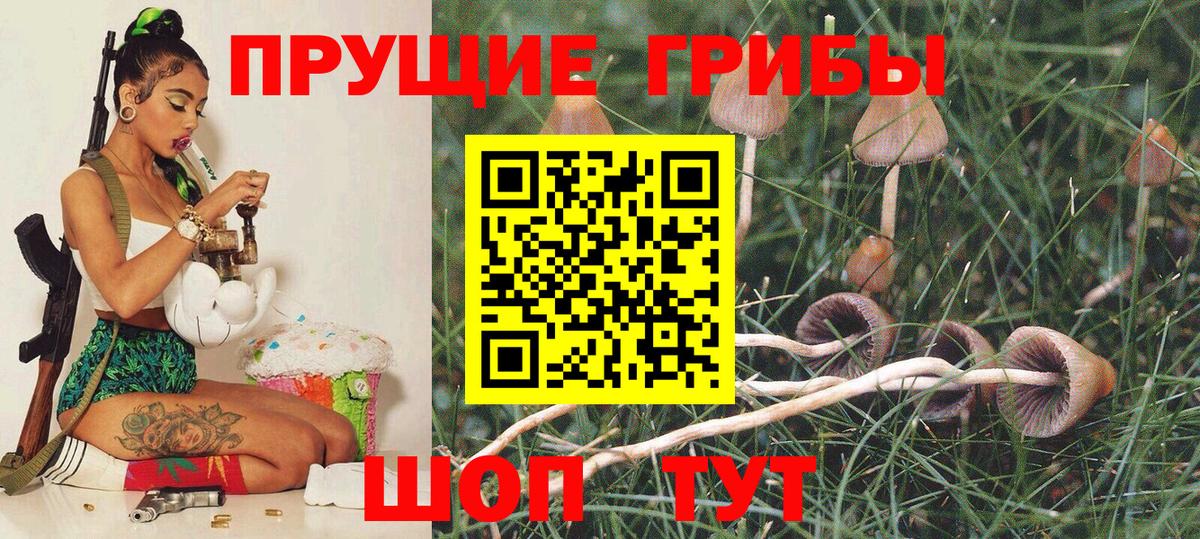 Калининград  Галлюциногенные грибы GOLDEN TEACHER  Вход с VPN 