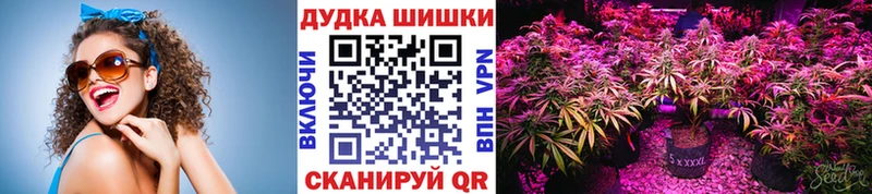 МАРИХУАНА план Калининград