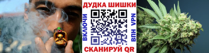 купить закладку  Калининград  Конопля семена 